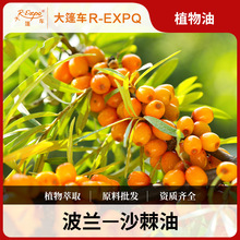 ɳ����Seabuckthorn���mԭ�����l��Ħ���A������ԺSPA����܇����