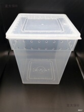 白蛐蛐油葫芦蟋蟀爬虫箱树蛙勾亚蜥蜴饲养箱活体饲料睫角盖麦太保