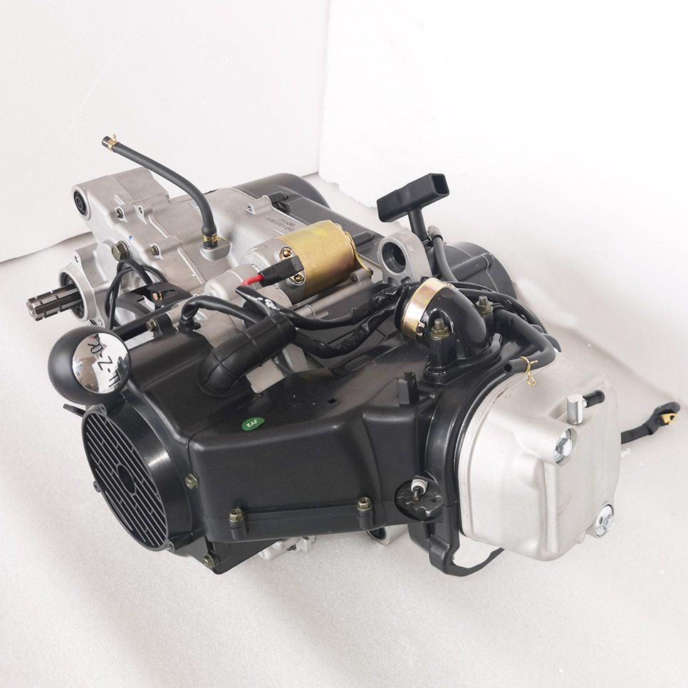 Golden Wave Gy6 200Cc Air-Cooled Engine with Hand-Pull Start, Stepless Transmission, and Reverse Gear for Beach Buggy Go-Kart