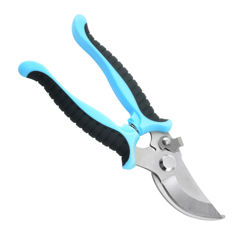 파란색 가지 가위