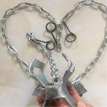 ú�V֧�o�÷���� �V��1m����� ���w֧������朏S�ҷ����ݼy�