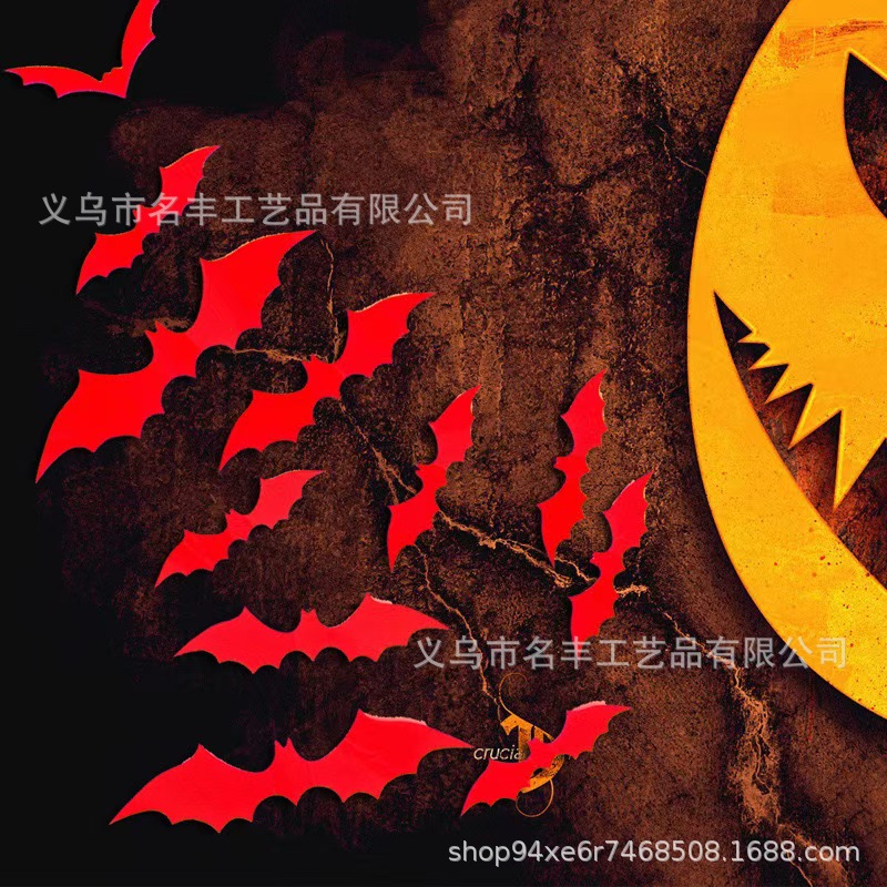 微信图片_20250222165343