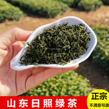 正宗日照绿茶2023年新茶板栗浓香耐泡手工茶叶500g散装山东特产