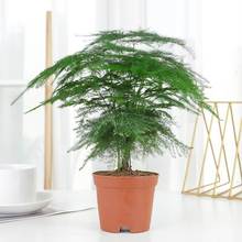 �����������ԾGֲ�҃���ˮ��ֲ������辰���軨�ܿ͏d�ļ�������