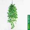5 forks of glue-white edged ivy leaves