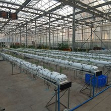 �����߲ˌ��� PE �L�l�Nֲ�� �Ӻ񿹕� �����S�ϷNֲ�ۿɶ��ߴ�