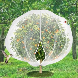 Cross-border Amazon Orchard Plant Insect Mesh Bag Plant Insect Mesh Cover Fruit Tree Garden Insect Mesh Bag Yarn Mesh Cover