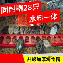 СuιuʳBuϲgJuιuʳLˮһw