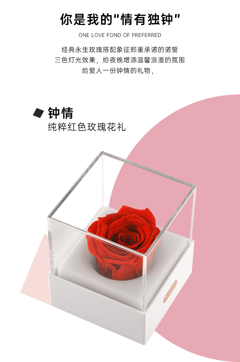 永生花夜灯_04.png