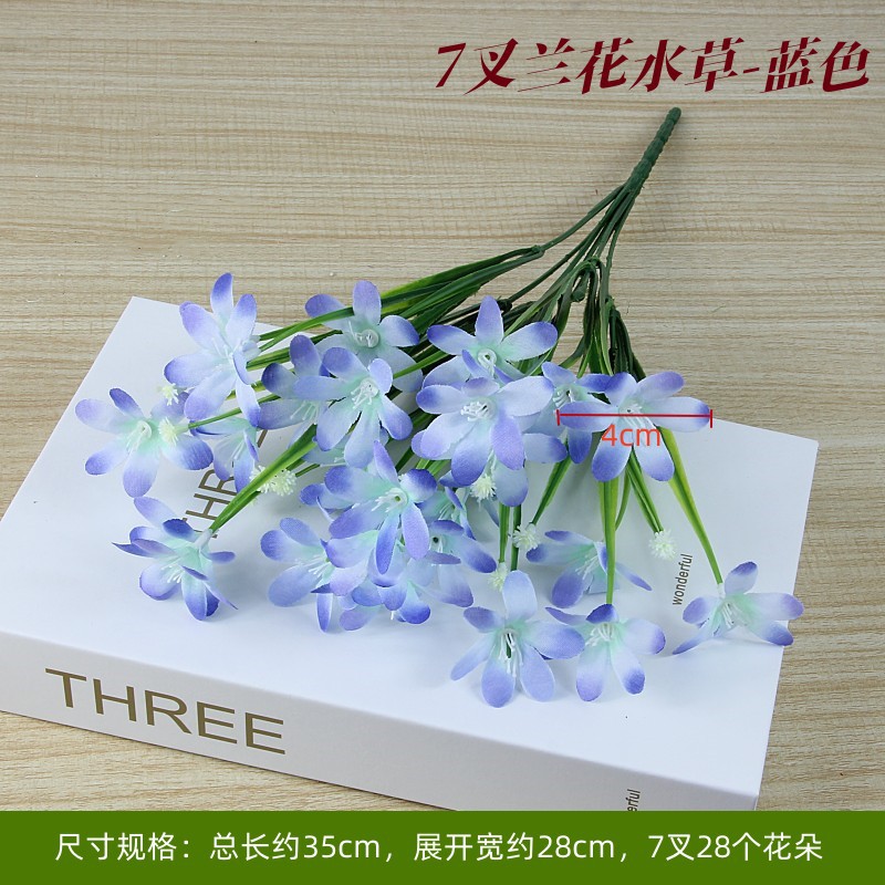 Aquatic plants, orchid