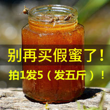 Ȼٻ󻱗䳲ԮaNɽҰl