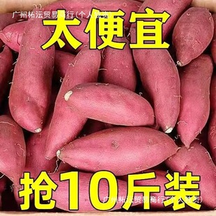 �����t�������r�F��10�ﮔ��ɽ������ɳ�����ϼt���عϷ���5����