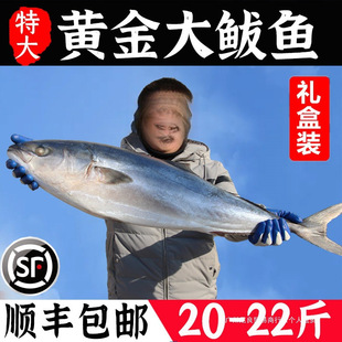 �ش��S���E�~22-20�ﺣ�~���r�������l�R�o�~������E�~���l�Y��