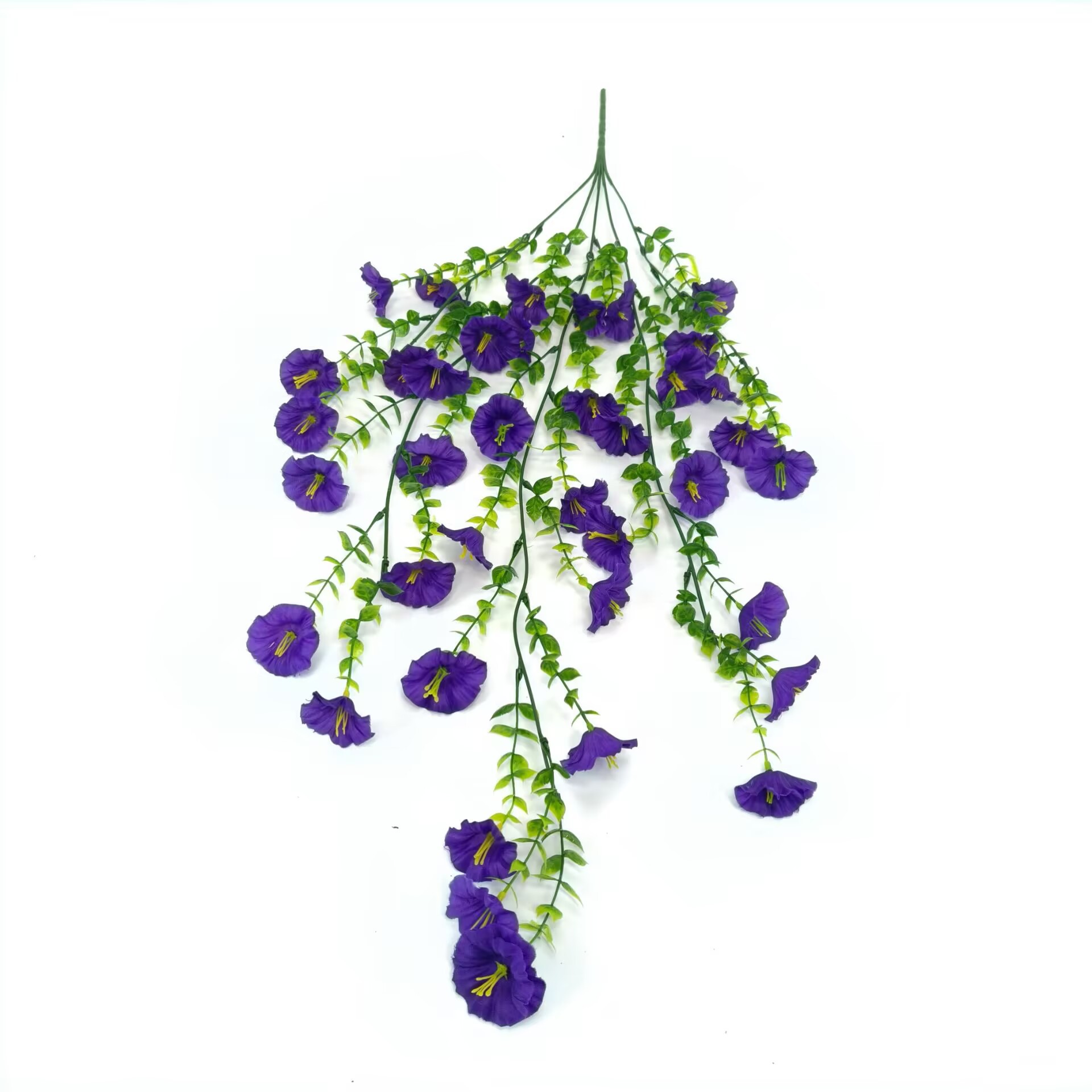 보라