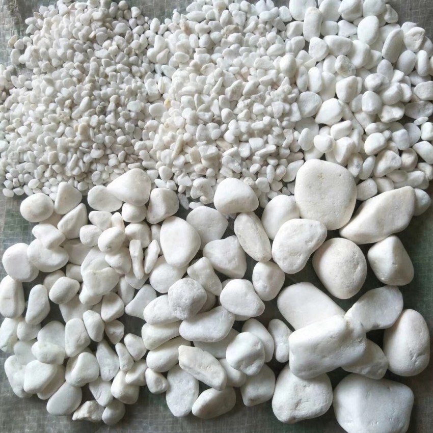 QQ图片20230215151356