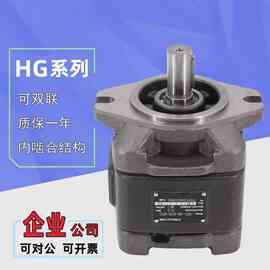 液压泵齿轮泵HG1/HG0/HG2-80/125-01R-VPC内啮合液压伺服油泵厂家