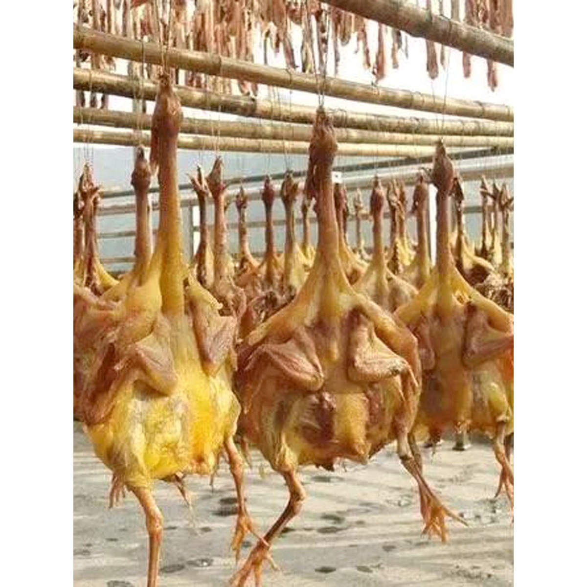 湖北特产风干鸡荆门十里铺整只农家自制咸鸡特色腊干鸡腊鸡子