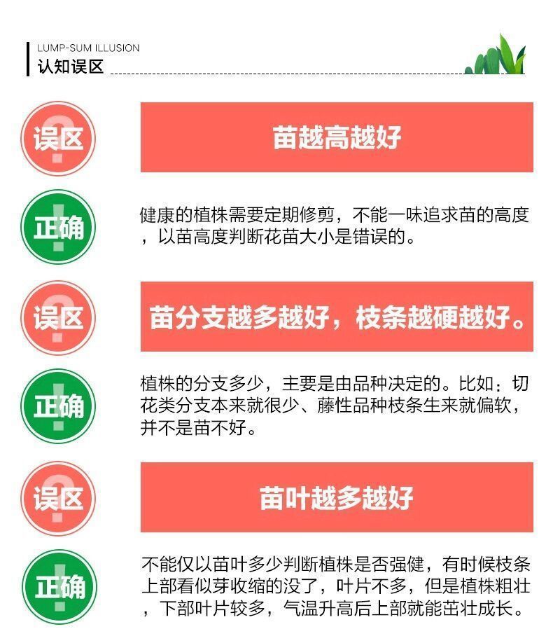 480b8bab-0bf8-42d9-99b8-8c340d39186b.jpe