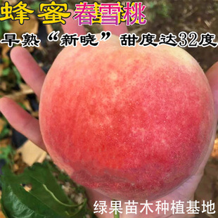 ������ �� ���������� �޽��Ҙ��� ˮ������ ���@�Nֲ �������