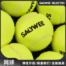 SALYWEE升级恒压设计专业网球比赛训练 高弹耐打毛布耐磨手感舒适