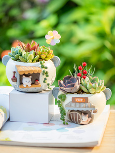 ⻨Ȥζֲ׃@С̨bͨС؈С