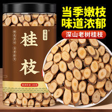 寻百草桂枝中药材桂枝尖粉非去皮500g桂枝龙骨牡蛎汤可搭柴胡干姜