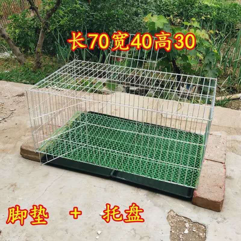 2d53589a-3cf3-46f4-98fd-c7e4cf20ff22.jpe