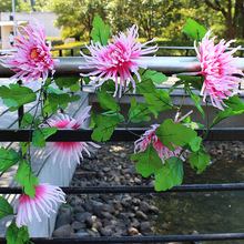 ���滨��צ�ջ�����@Ĺ���b��ٻ��������Ĺ���ω����滨���