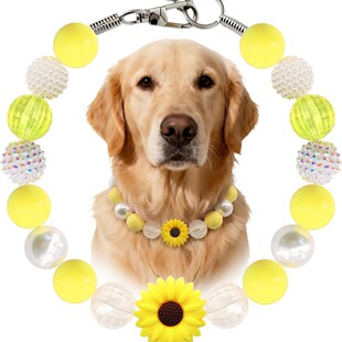 �r�Ռ����Ȧ�Sɫϵ20mm�ǹ���ˮ荿��{���r�Ռ����Ȧ�r�Ռ����