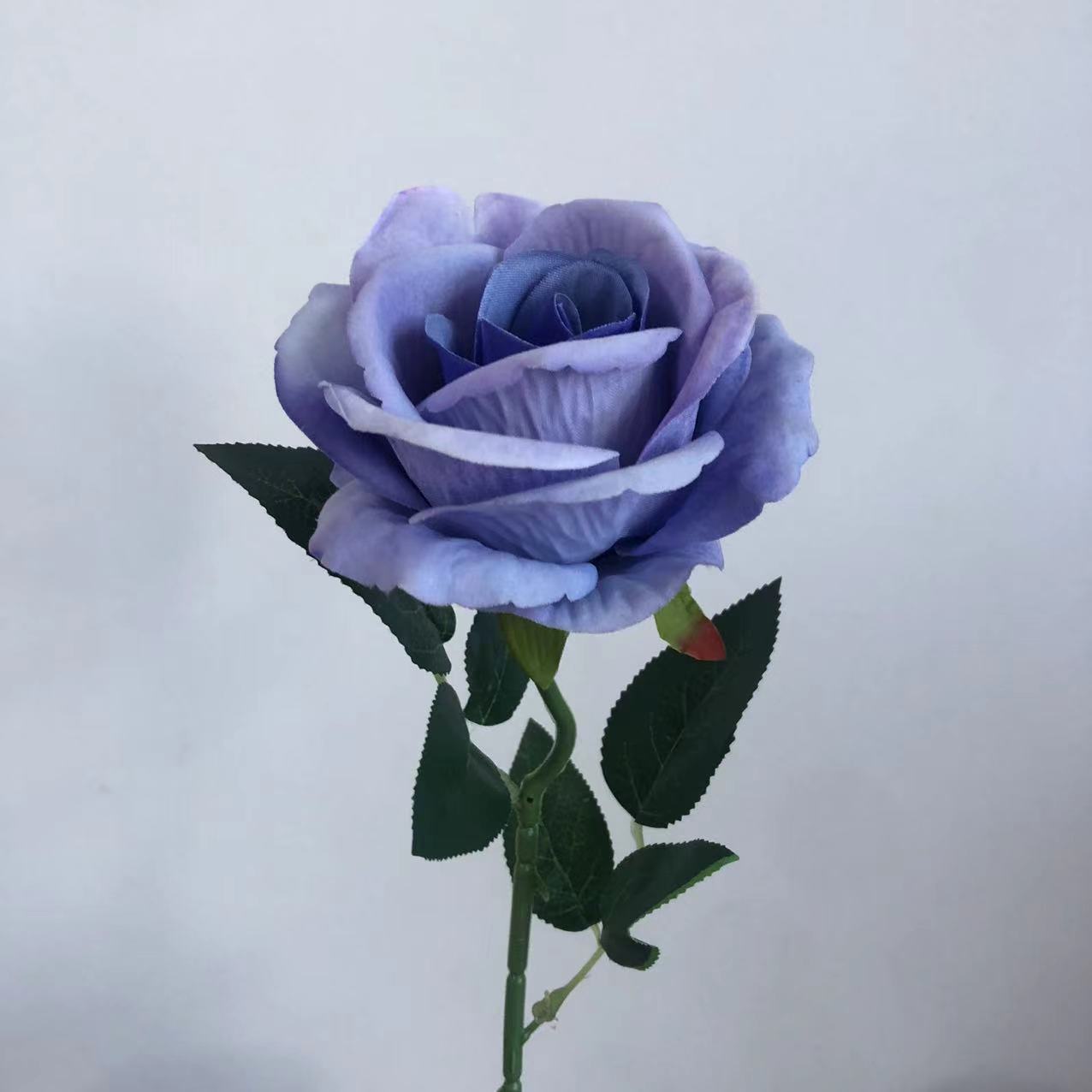 파란색 보라색