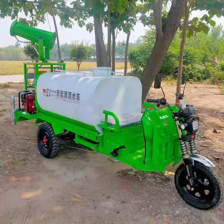 鲁鸿 电动雾炮小型洒水车 环保喷水车绿化新能源环卫雾炮车