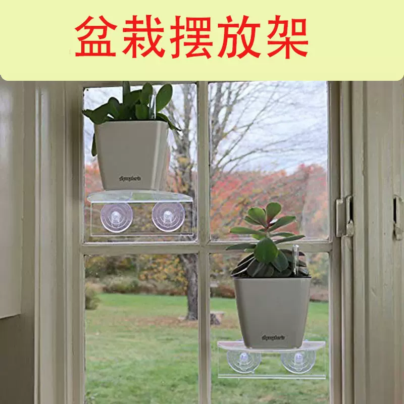 现货吸盘式透明亚克力盆栽摆放架室内多肉植物壁挂架墙壁置物架