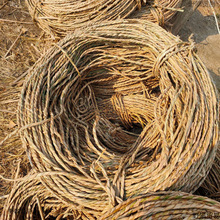 Դ�^ֱ�� �Ѳ��K������ˇƷԭ���� ��NҎ�� �Ѳ��K �ݾ��Kɽ�|