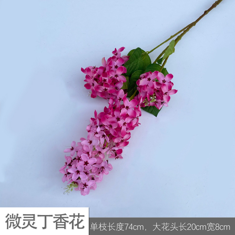 마이크로 라일락 JLK 로즈 레드