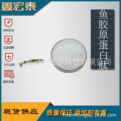 鱼胶原蛋白肽 小分子肽 易吸收 胶原蛋白肽 现货供应 量大价优