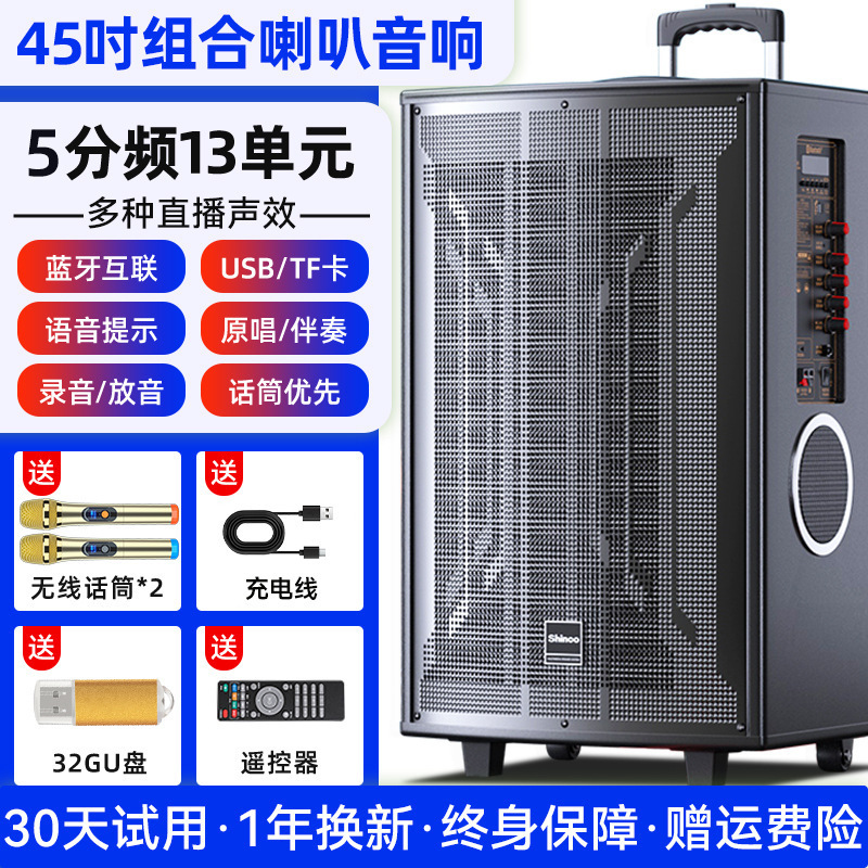 n29 スクエアダンスオーディオ屋外カラオケ 2024 新しい大音量ポータブルモバイルトロリー Bluetooth スピーカー木製|undefined
