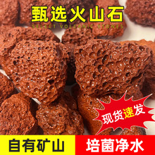 火山石现货供应红色过滤水鱼缸水族底砂造景多肉种植铺面火山石