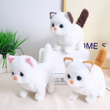 ��ͯ늄�С؈��ë�q�����·���Єӌ�����ż�����������նY��[��