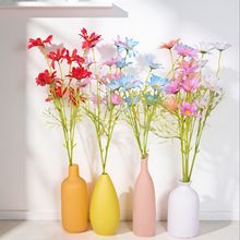 滨5^mСҰջYbٻl칤ˇ廨Сr