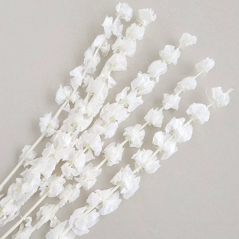 Wholesale eternal shell flower white ornaments flower arrangement shell flower photography props