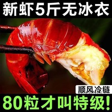 龙虾尾无冰特大虾尾特大号特大无冰衣龙虾尾新鲜活小龙虾冷冻
