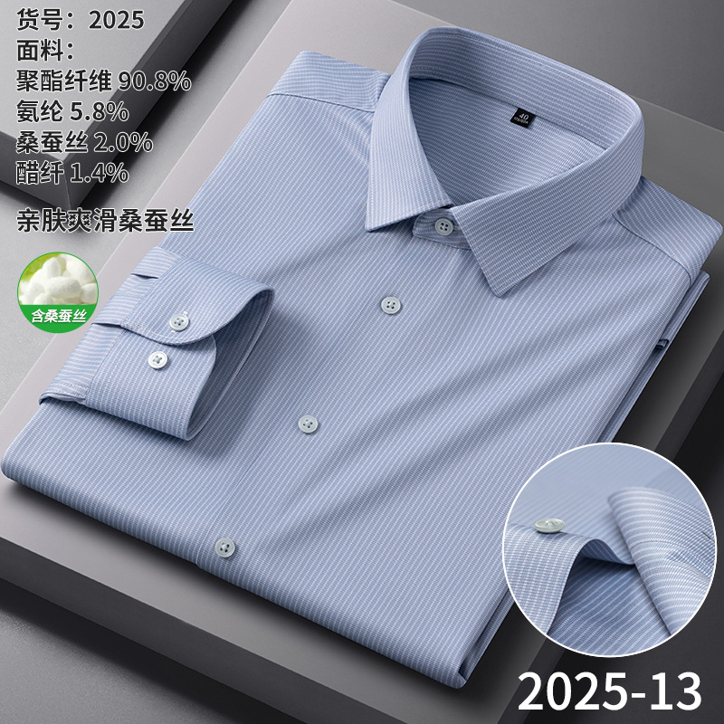 2025-13