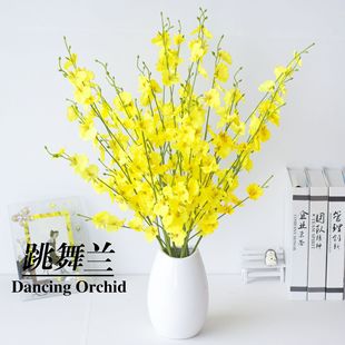 �S�����l �����m���滨 ��������m �Ƶ�Ҿ��b� �����m�ٻ�����