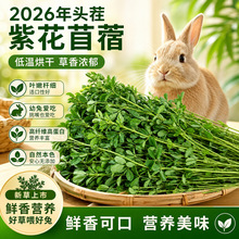 26年兔子苜蓿草幼兔专用烘干紫花苜蓿草龙猫豚鼠荷兰猪苜蓿草饲料
