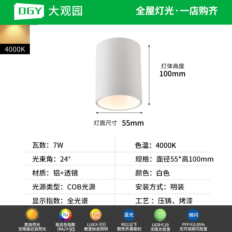 Da Guanyuan lámpara de techo Led Led Light Downlight House Pasillo de la sala de estar sin lámpara principal 495L image 13