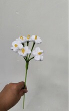 ë�����������ҳ�Ʒ���������k����С���·��滨��ͬ��ͬ�W�Y��