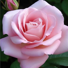 �����ش��¼������������F������÷�ļ����¼t���������