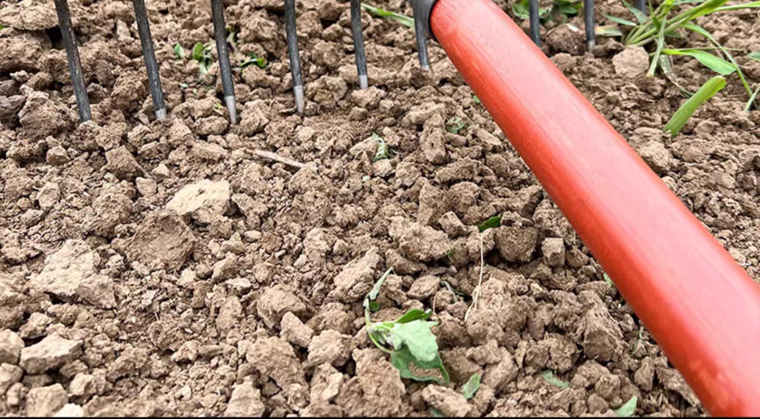 O1CN01dnmSJn1hvJHwGjjjP_!!2213