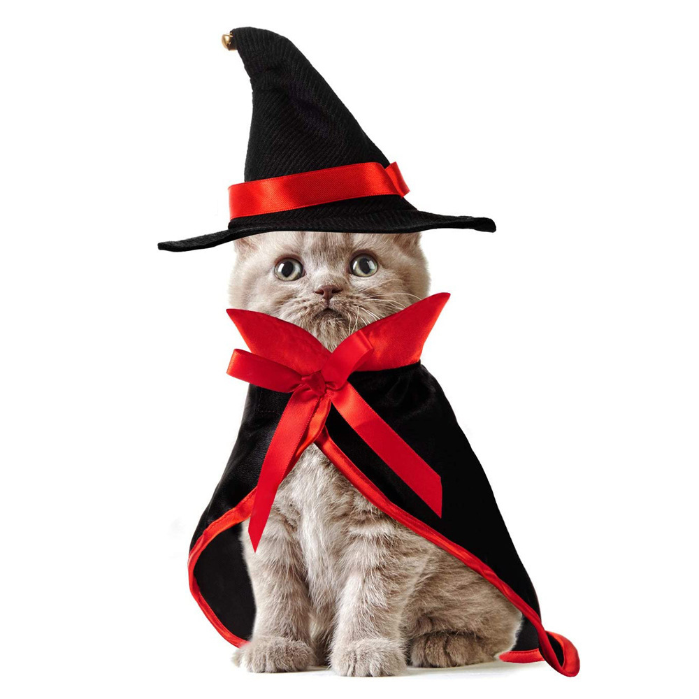Pet Halloween Costume