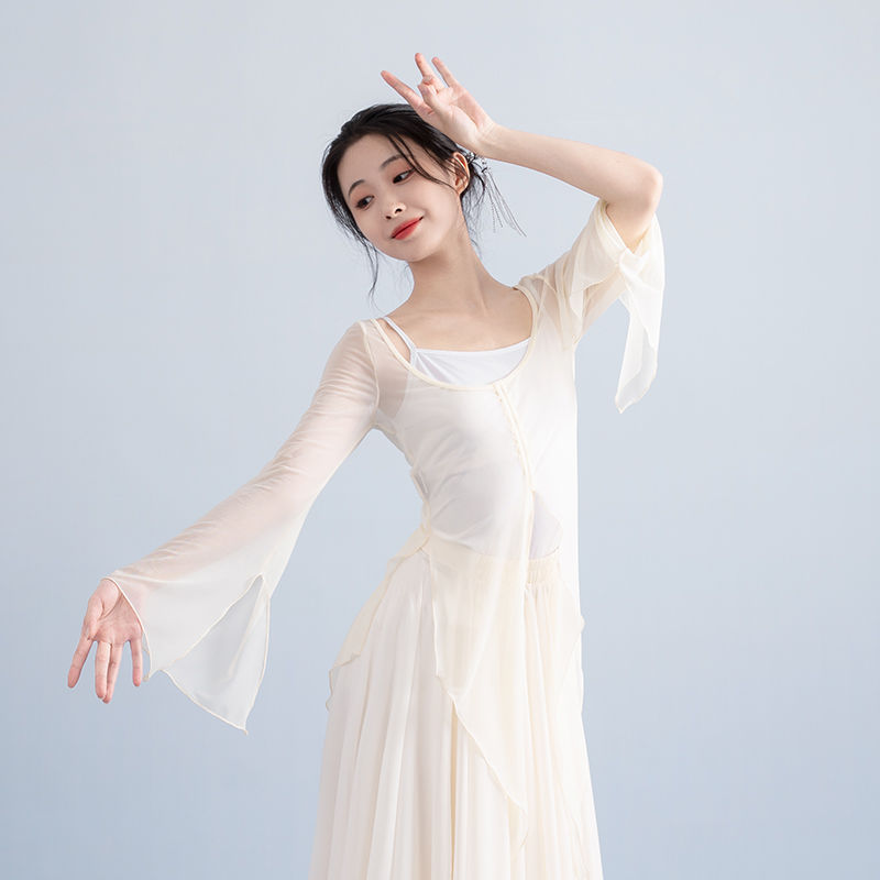 古典舞踊のオリジナル妖精中国舞踊の服、女性のエレガントでスリムな女性の練習服、メッシュダンストップス|undefined